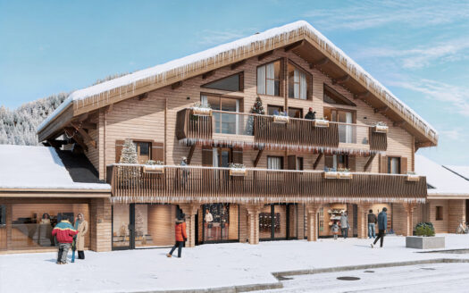 Appartement duplex 4 pièces esprit chalet