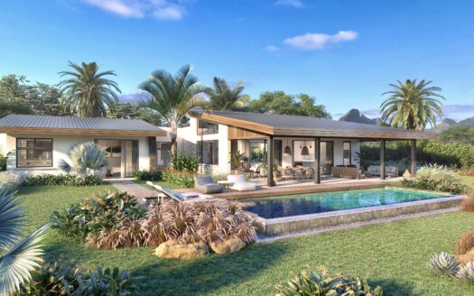 Villa 5 pièces avec piscine