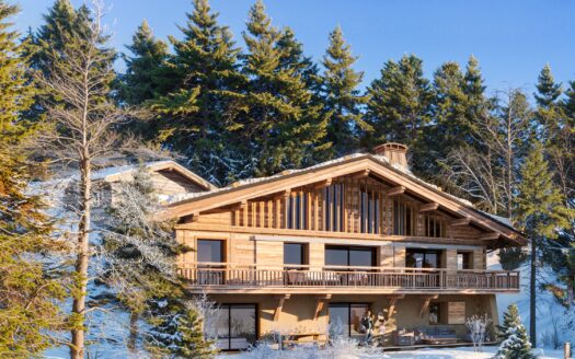 Luxueux demi-chalet 5 pièces
