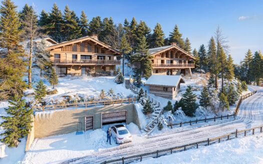 Luxueux demi-chalet 5 pièces