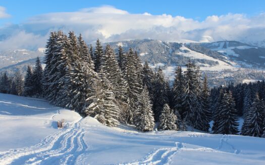 Appartement 3 bedrooms and terrace