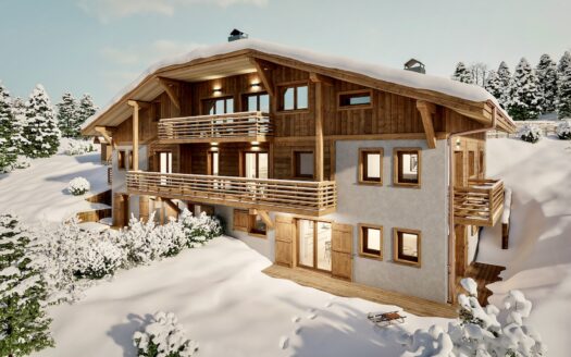 Appartement 4 pièces et terrasse