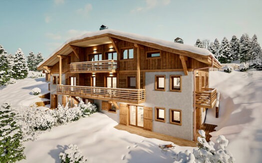 Appartement 4 pièces et mezzanine