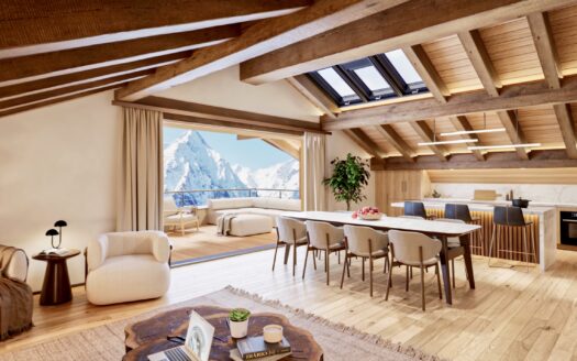 Apartment 4 bedrooms with 2 terraces