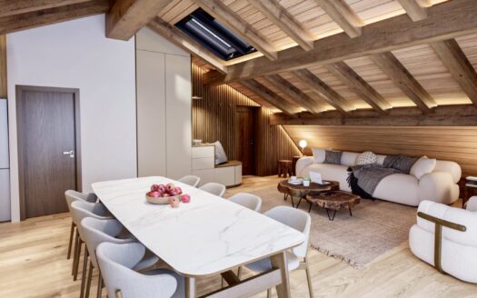 Apartment 4 bedrooms with 2 terraces