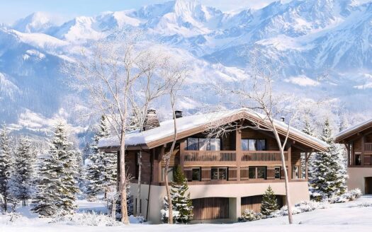 Demi-chalet 5 pièces